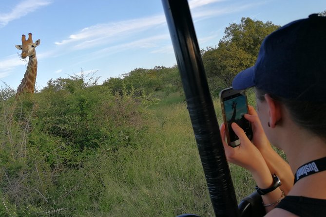 3-Day Tour of Kruger National Park From Skukuza Airport - Flora and Fauna Exploration