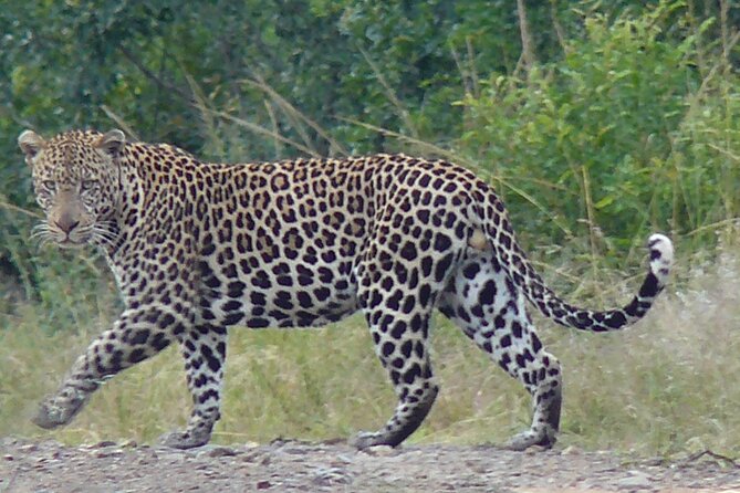 3 Days Durban Safari Tour Package - Common Questions