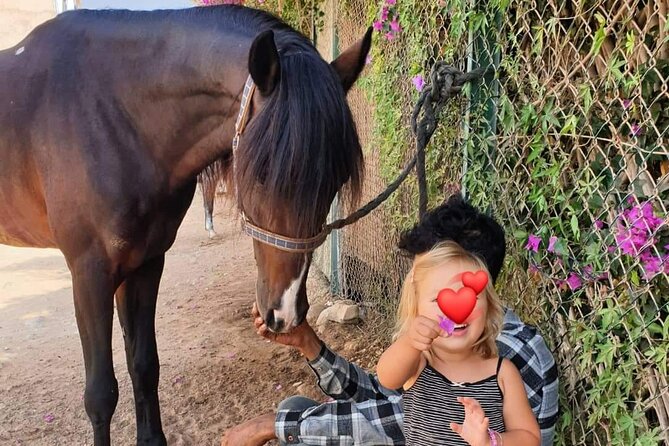 3-hour Horseback Ride Mountain and Beach Morocco - Meeting Points and Pickup Information