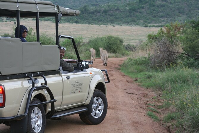 3-Hour Private Game Drive of Pilanesberg National Park - Learning About the Parks Inhabitants and Conservation Efforts