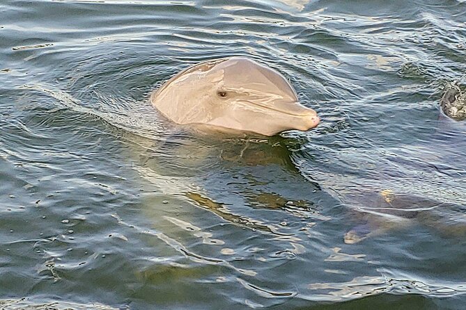 3-Hour St Pete Private Water Adventure Tour for 6 Guests - Cancellation Policy
