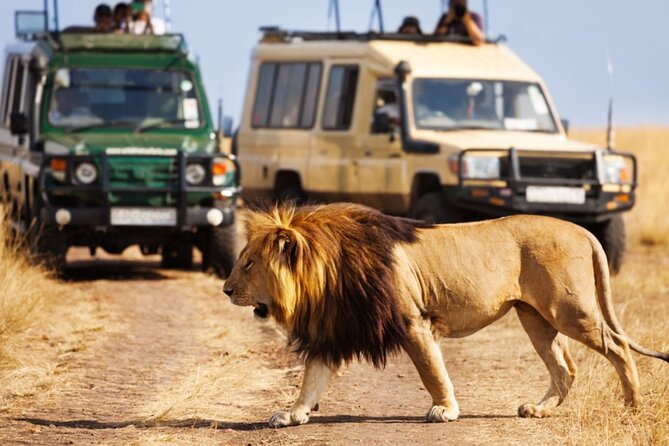 4 Day Garden Route Small Group Tour Fr CapeTown - Departs Mondays - Booking Information