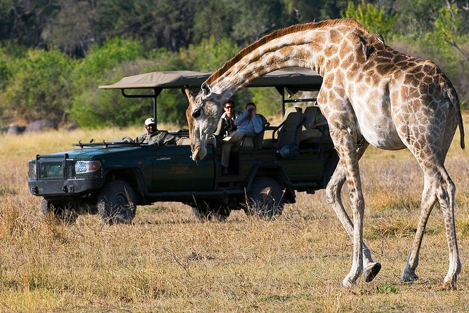 4-Day Kruger National Park & Panorama Route Tented Safari - Evening Safari on Arrival