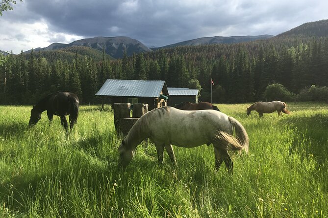 4 Day West Range Cabin Vacations in the Alberta Rocky Mountains - Pricing and Booking Details