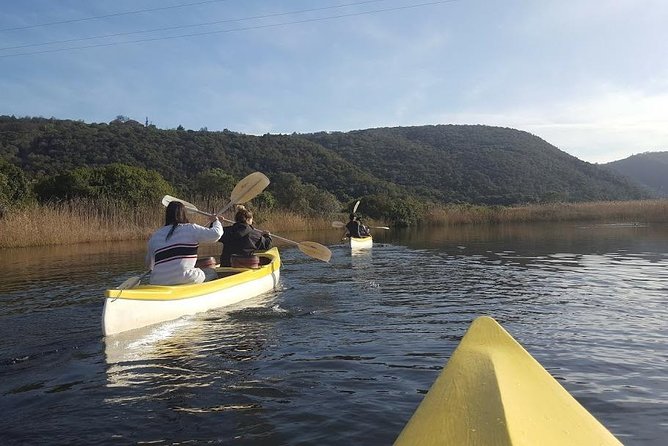 5 Day Cape to Addo Safari - Garden Route Small Group Tour - Cancellation Policy