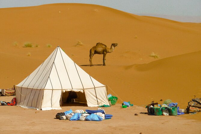 5-Day Desert Hiking Adventure From Merzouga - Cultural Experiences Along the Way