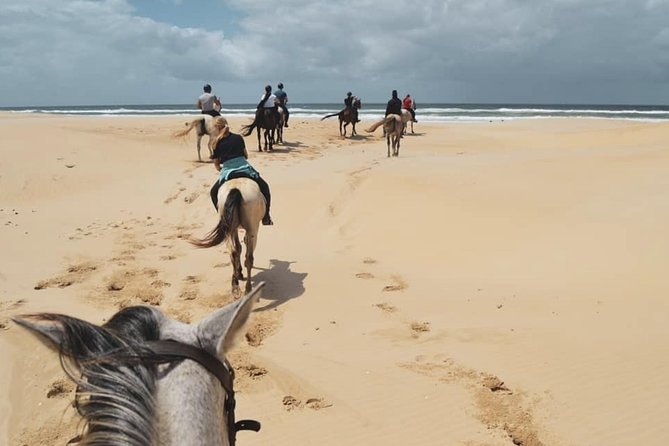 5 Day Garden Route and Addo Safari - Best of South Africa Small Group Tour - Cancellation Policy and Refunds