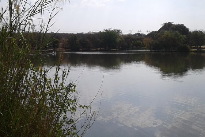 5 Day Kruger National Park Tour - What To Expect