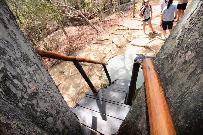 5 Day Lodge and Treehouse Kruger National Park Safari - Accommodation and Facilities