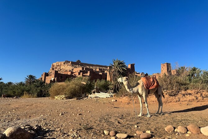 5-Day Private Tour to Sahara and Ergchebbi From Marrakech - Day 3: Merzouga to Erg Chebbi