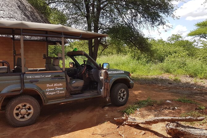6-Day Private South to North Kruger National Park Tour - Highlights and Stops on the Itinerary