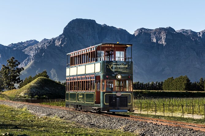 7 Day Garden Route to Addo, Cape Point and Winelands Combo Tour - Accommodation Options
