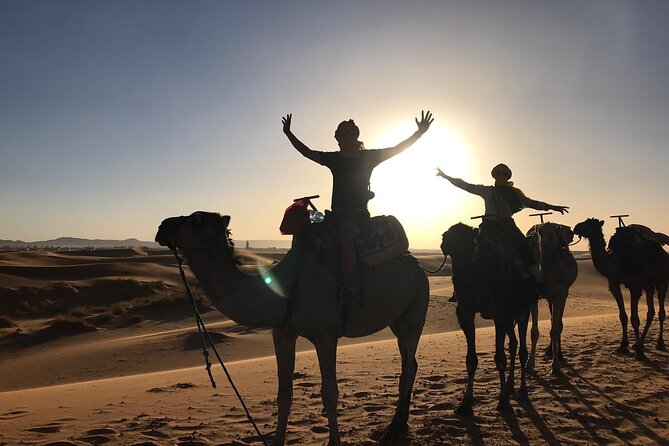 7 Day Private Tour From Casablanca to the Desert and Chefchaouen - Reviews From Previous Travelers