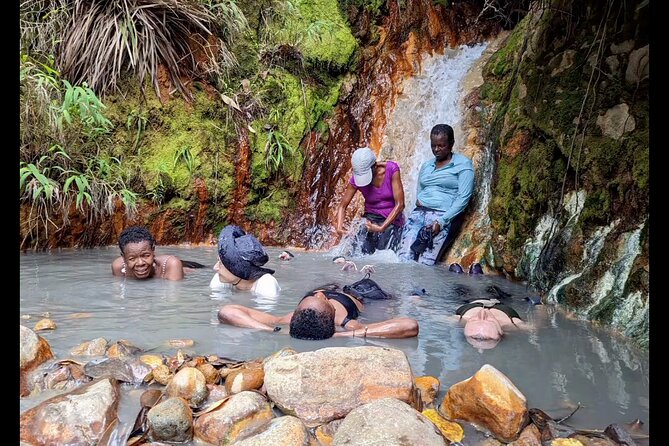 7 Hours Wildlife Discovery Tour in Dominica - Booking and Pricing