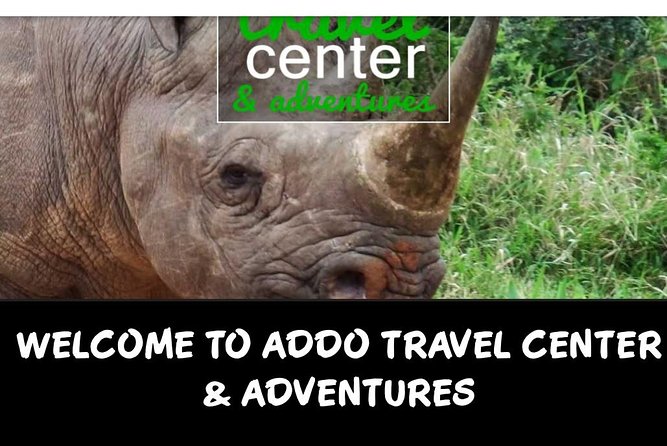 Addo Elephant National Park Full Day Group Game Drive - Traveler Photos and Reviews