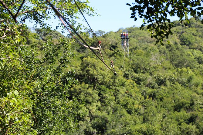 Aerial Cable Trail in Hazyview - End Point