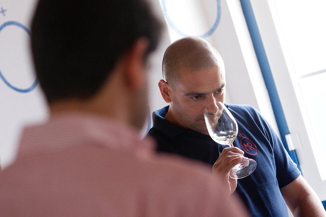 Alentejo Wine Tour From Évora - Explore a Medieval Village