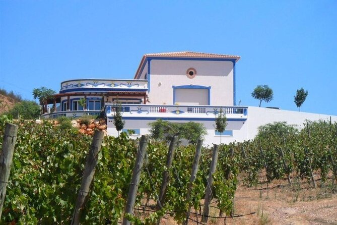 Algarve Wine Tour and Farmers Lunch at Wine Estate - Cancellation Policy and Additional Information