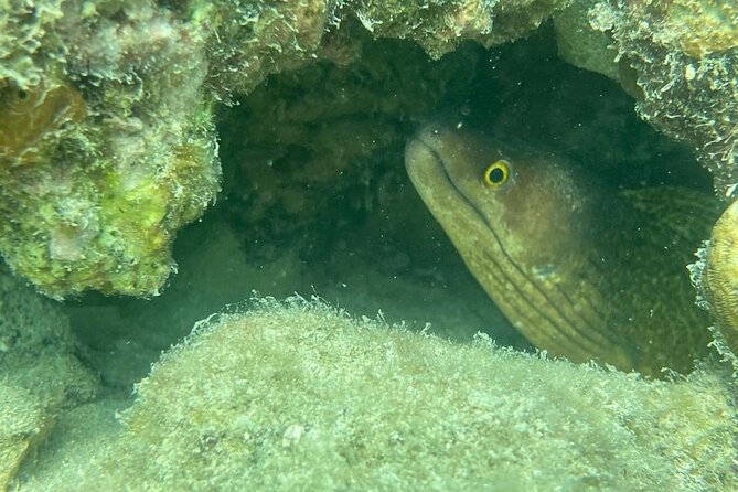 All Day Snorkeling Gear Rental in Puerto Rico - Reviews