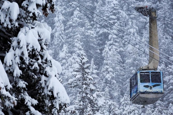 Alyeska Tram - A Self-Guided Tour - Girdwood, Alaska - Adventure Seekers Paradise