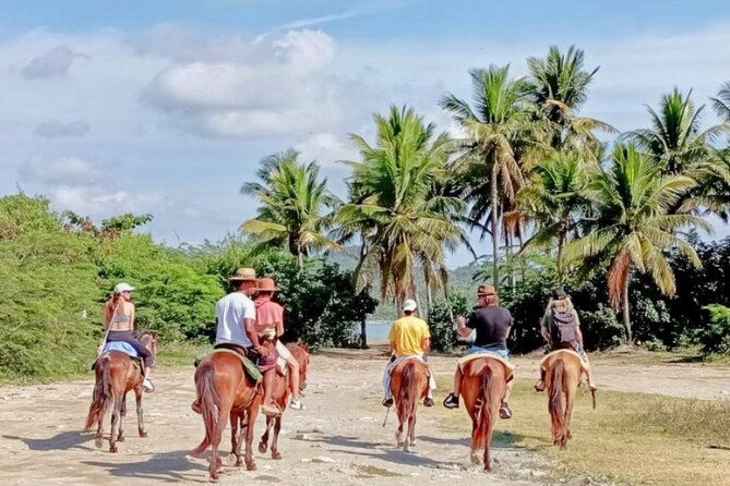 AMBER COVE-TAINO BAY Horses Beach Ride & City Sightseeing - Contact and Legal Information
