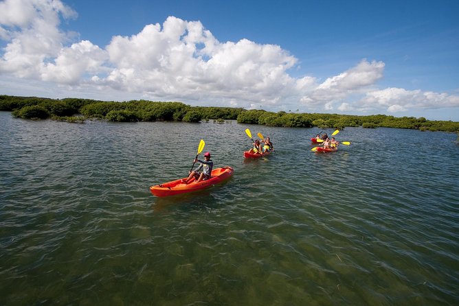 Antigua Zipline & Kayaking Combo From St. Johns - Booking Process and Pricing