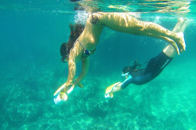 Aquatic Boat Adventure on the Arrábida Coast  - Setubal District - Additional Information