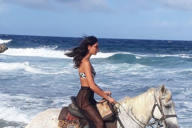 Aruba 2,5 Hrs Horseback Riding for Advanced Riders - Safety Guidelines