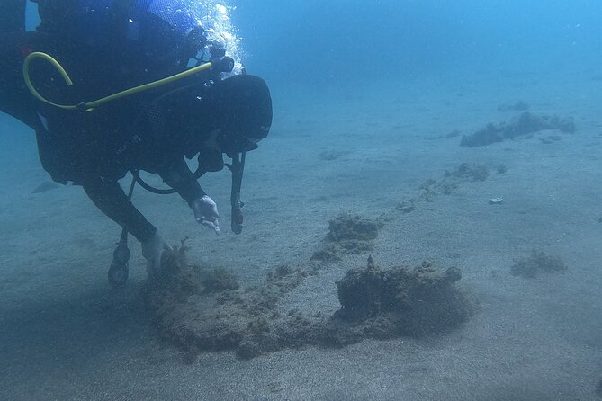 Azores Shipwreck Scuba Expedition With Hotel Pickup  - Terceira - Pricing and Terms