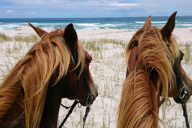 Beach Ride - Stanford - Traveler Health and Fitness Requirements