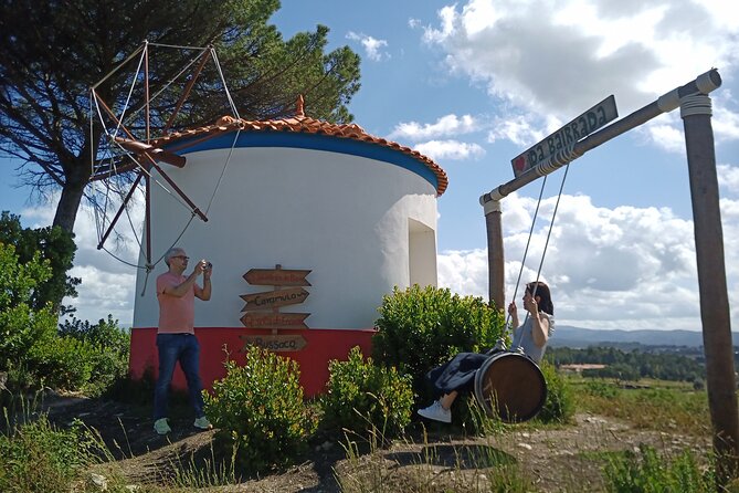 Best Flavors of Bairrada Winery Route, Half Day From Coimbra - Exploring the Natural Beauty of Bussaco Forest