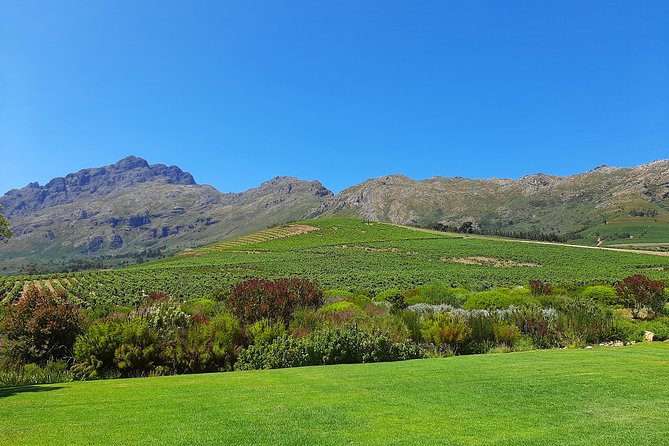 Best of the Winelands Private Tour - Traveler Reviews