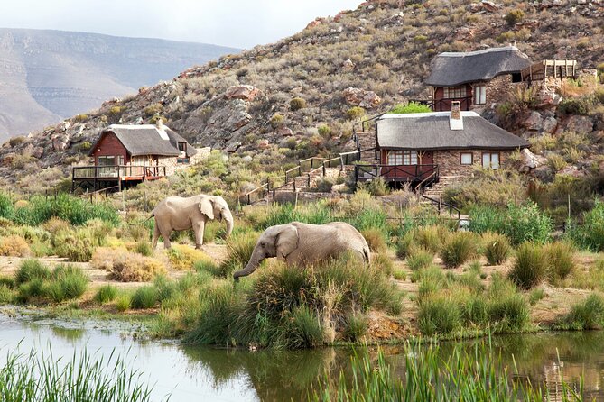 Big 5 Aquila Safari Full Day Tour With Nederburg Wine Tasting - Traveler Photos