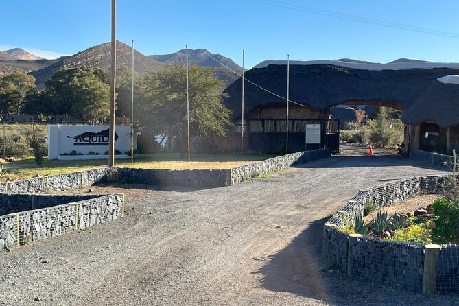 Big 5 Safari Aquila Full Day Private Return From Cape Town - Traveler Photos