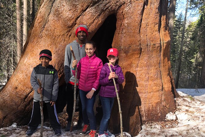 Big Trees Hike & Riverside Cookout Adventure - Additional Information and Cancellation Policy