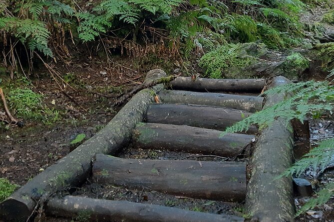 Black Mysteries Walking Trail - Cancellation Policy