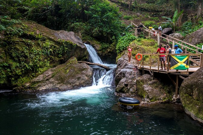 Blue Mountains Tour With Blue Mtn Coffee, Meals  - Ocho Rios - Traveler Photos