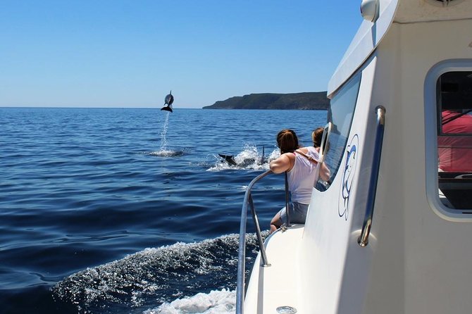 Boat Trip for Dolphin Watching Along the Arrabida Coast and Sesimbra - What To Expect