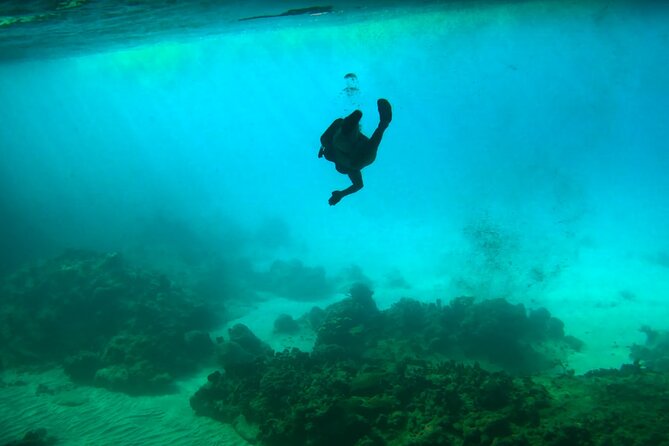 Boat Trip, Swim With Turtles, Blue Room Cave & Beach Day - Traveler Reviews and Ratings