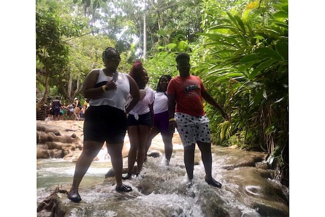Bob Marleys Nine Mile & Dunns River Falls Tour: Transportation & Ticket - Traveler Reviews and Ratings