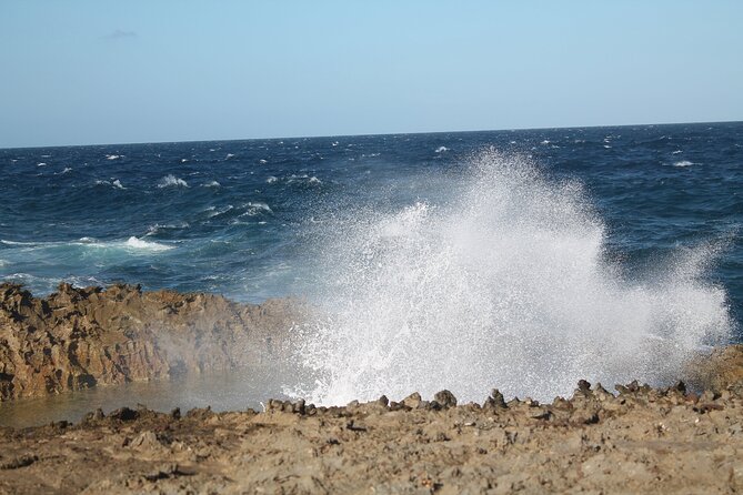 Breath of Curacao Safari - Cultural Immersion and Local Insights
