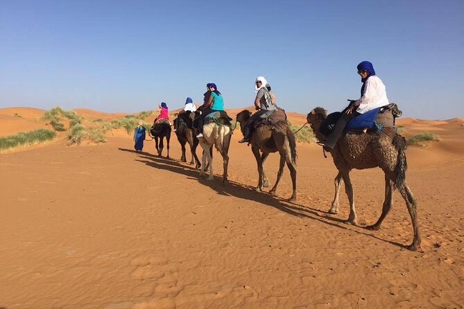 Camel Trek With 1 Night in Luxury Camp With Dinner Sundbording - Overall Rating and Final Thoughts