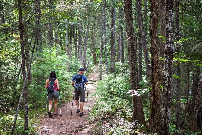 Canoe-Hike Day With Departure From Montreal - Terms & Conditions for the Canoe-Hike Day