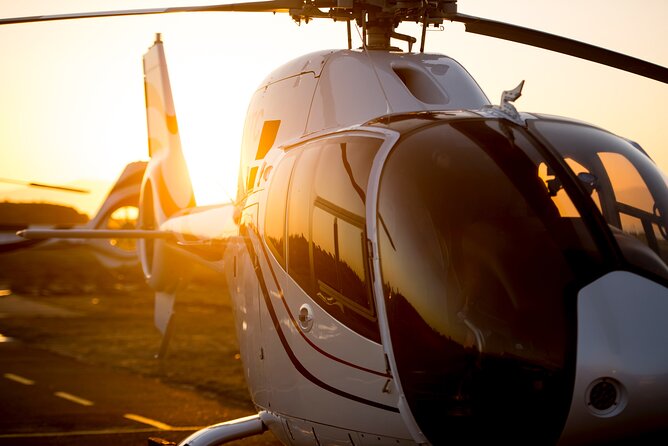 Cape Peninsula, Cape of Good Hope and Cape Point Scenic Helicopter Flight - Positive Reviews and Testimonials