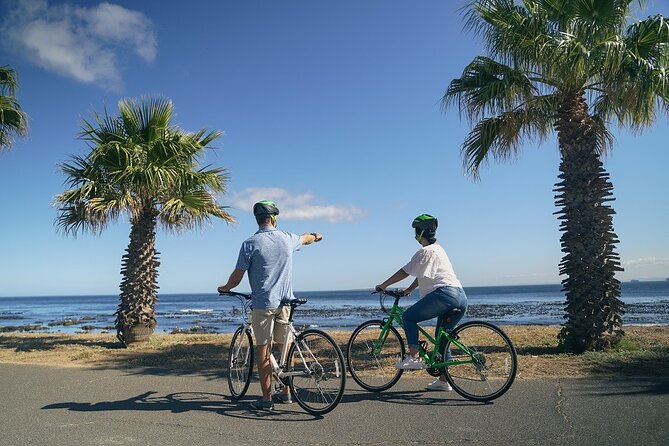 Cape Town City Cycle - Private Tour - Traveler Photos