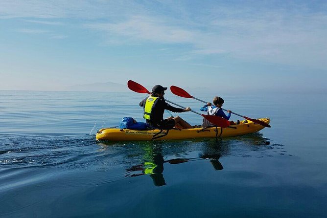 Cape Town: Sea Kayaking Near Penguins Tour - Traveler Photos and Reviews