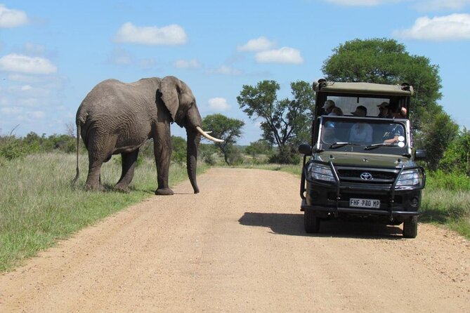 Captivating 2 Day Kruger Safari From Johannesburg - Lodge Accommodation Options