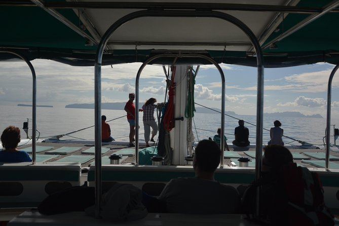 Catamaran Day Cruise to Desertas Islands From Funchal - Review Highlights