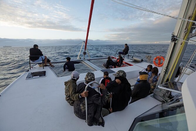 Catamaran Sunset Champagne Cruise Cape Town - Return to the Meeting Point