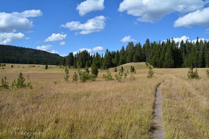 Classic Yellowstone Hike to the Shores of Lake Shoshone (Private up to 8 People) - Cancellation Policy and Refund Details